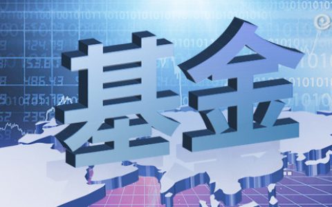 期货生猪直播视频