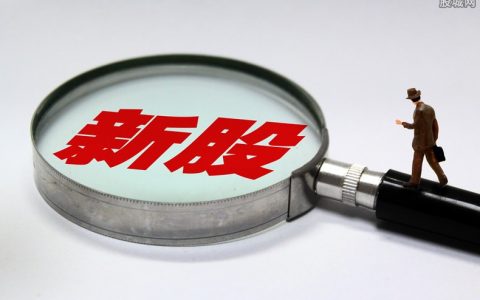 期货的直播平台